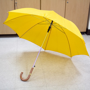 우산 (대형)